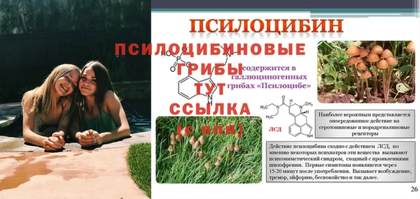 меф Кирс