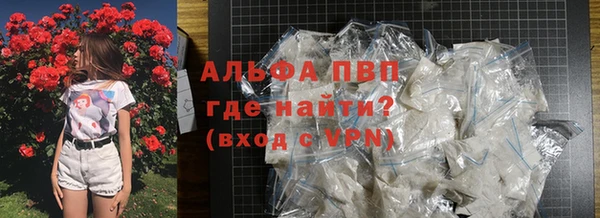 прущие грибы Елабуга