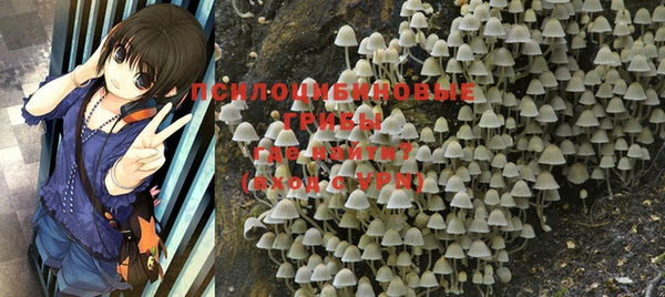 MDMA Елизово