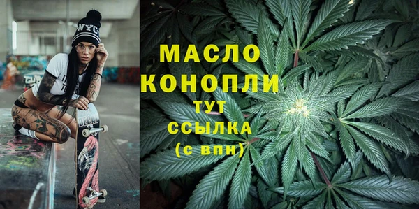 прущие грибы Елабуга